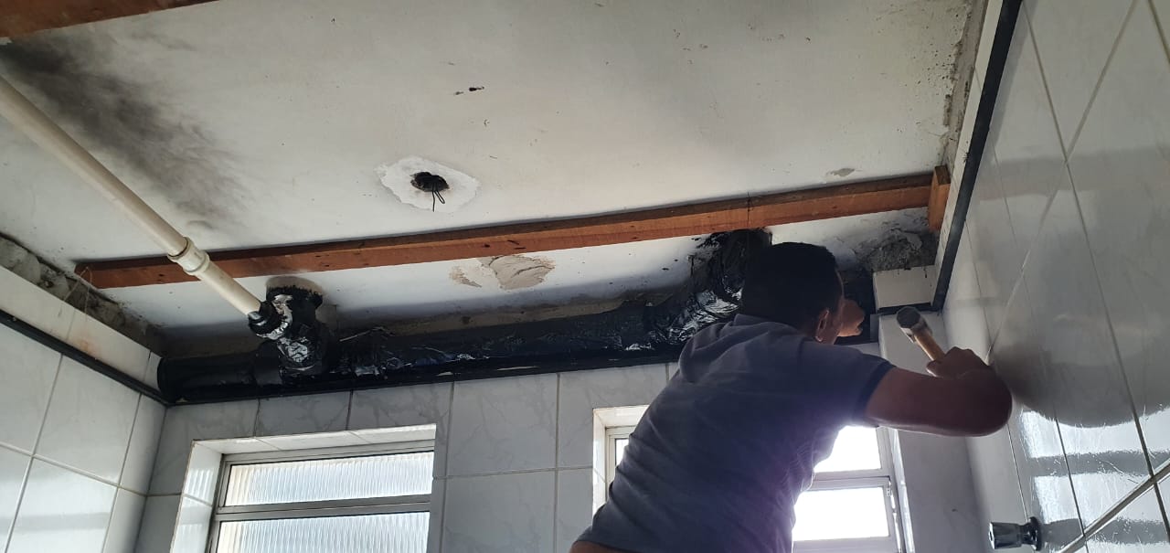 WhatsApp Image 2025-03-19 at 10.51.19.jpeg