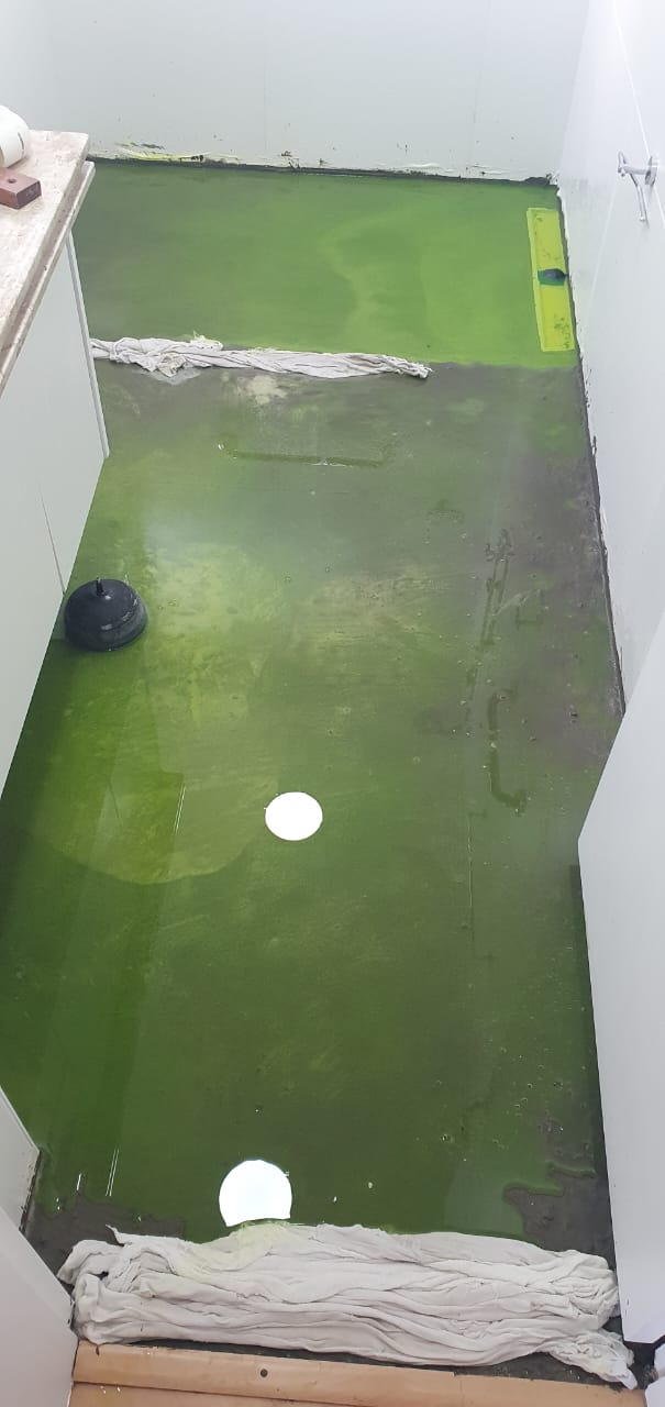 WhatsApp Image 2025-03-19 at 10.51.06 (1).jpeg